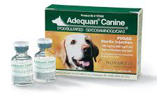 Adequan Canine